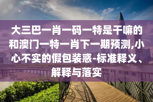 大三巴一肖一碼一特是干嘛的和澳門一特一肖下一期預(yù)測(cè),小心不實(shí)的假包裝惑-標(biāo)準(zhǔn)釋義、解釋與落實(shí)